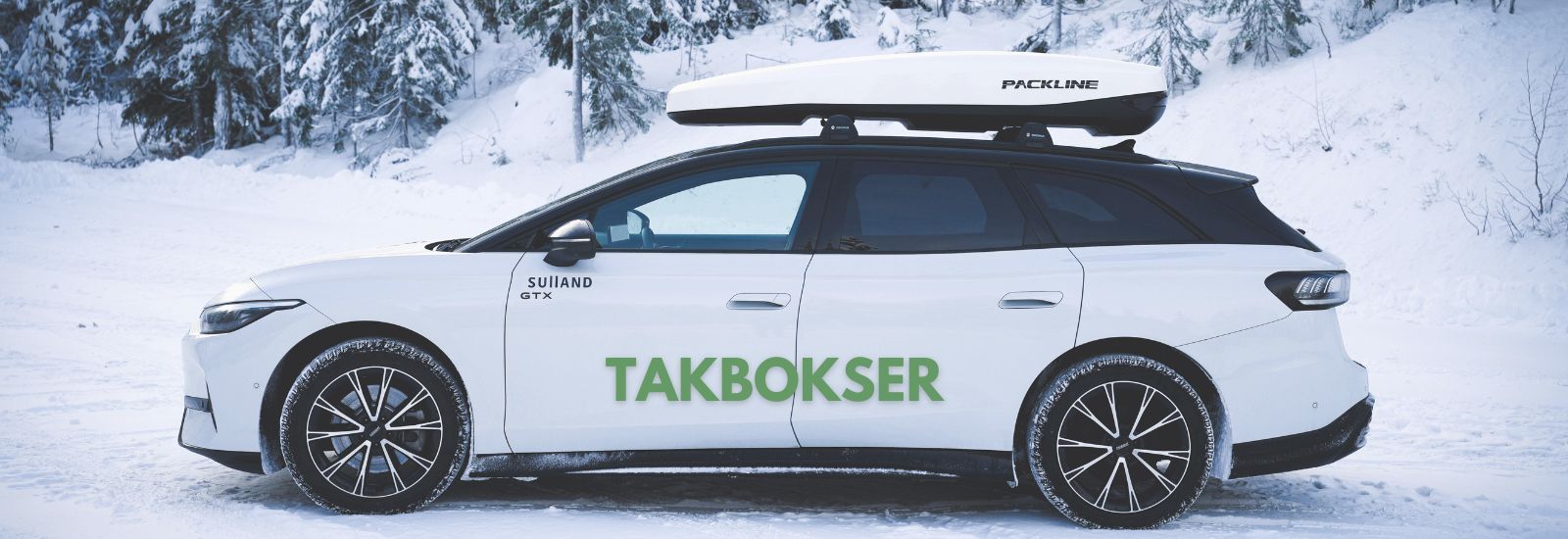 Takboks til Tesla – perfekt for ferie og ekstra bagasje
